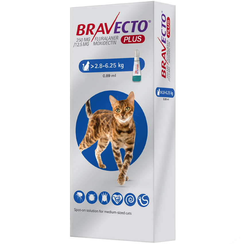 Средство от паразитов Bravecto Plus Spot-on, для кошек весом 2,8-6,25 кг, 250 мг - фото 1