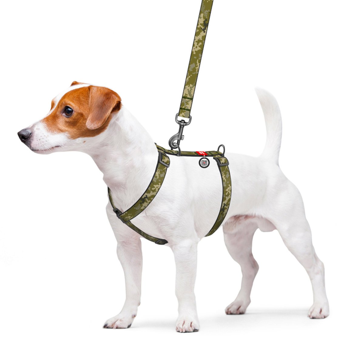Шлея для собак Waudog Nylon, анатомічна, H-подібна, з QR паспортом, М, 40-70х50-80х2 см, Мілітарі - фото 3