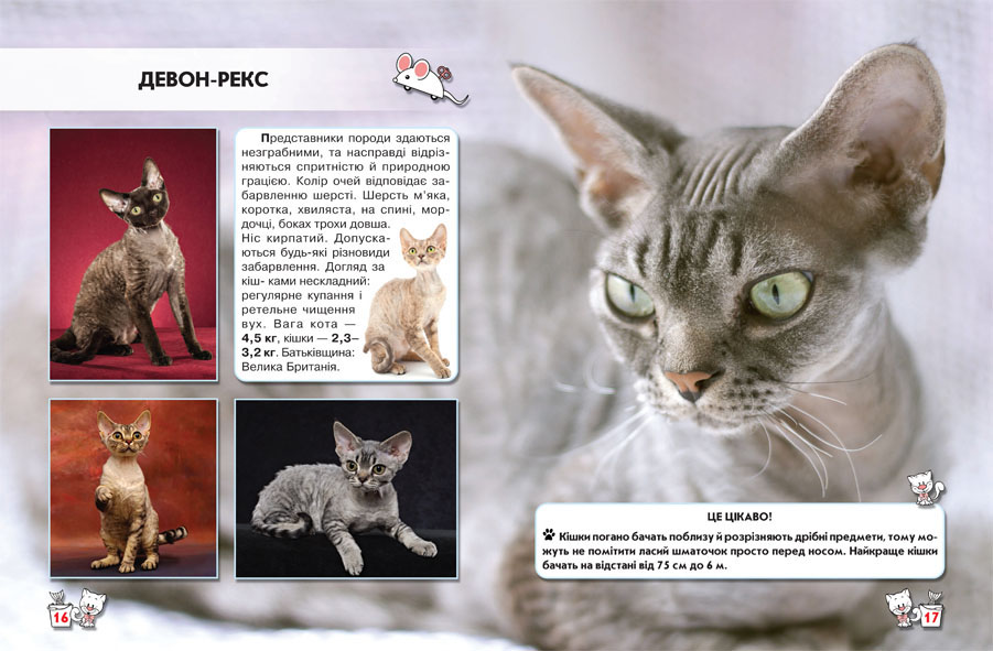 Фотоенциклопедія Кристал Бук Світ навколо нас Кішки (F00021091) - фото 3