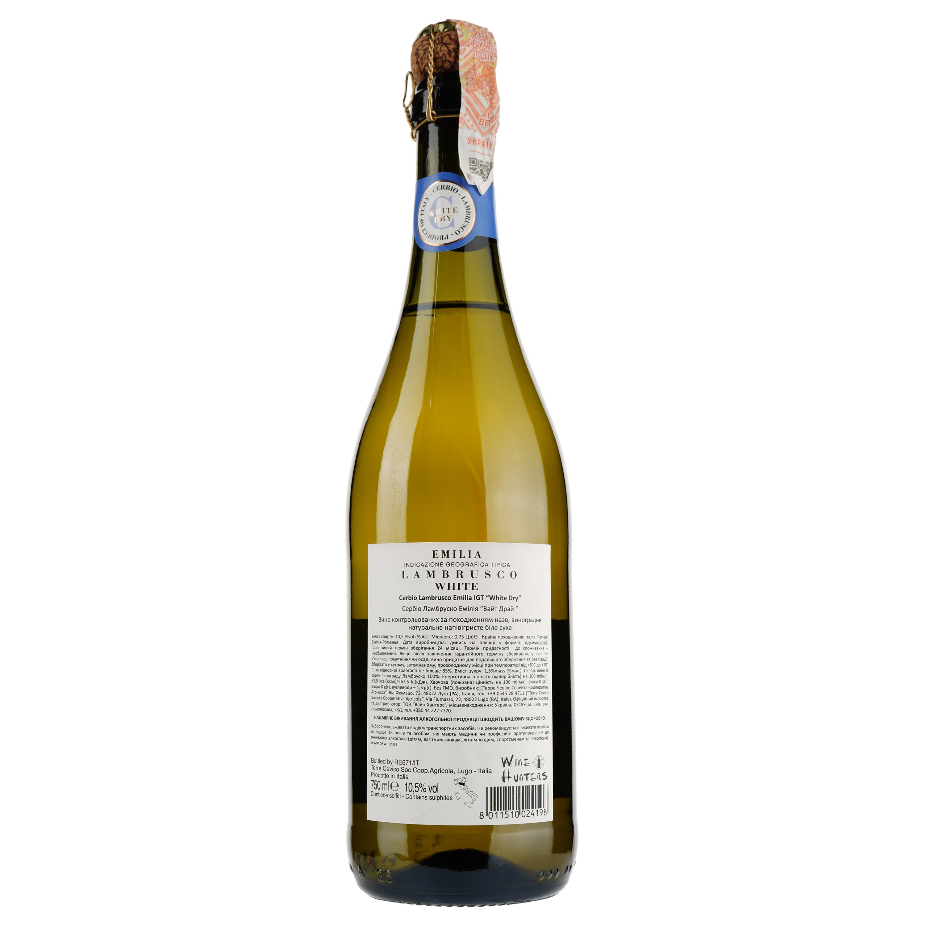 Вино игристое Terre Cevico Cerbio Lambrusco Emilia IGT White Dry, белое, сухое, 10,5%, 0,75 л - фото 2