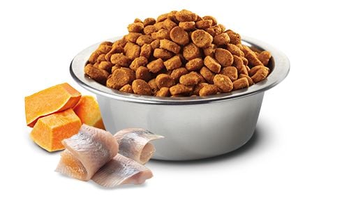Сухий корм для собак середніх і великих порід Farmina N&D Grain Free Ocean Pumpkin беззерновий з тріскою та апельсином, 2.5 кг - фото 2