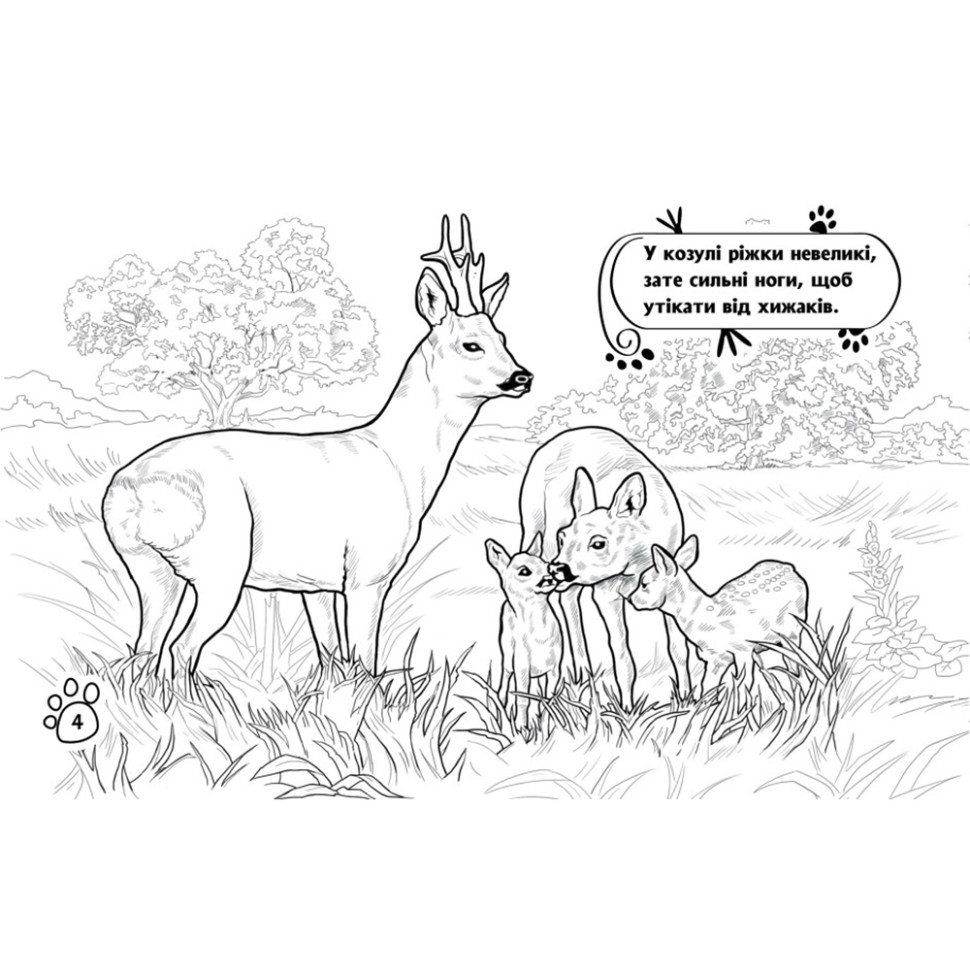 Раскраска детская Видавництво Ранок Животные в лесу 16 страниц (583012) - фото 3