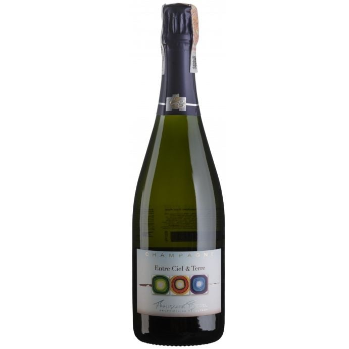 Шампанське Francoise Bedel Jouvence 2012, біле, брют, 12,5%, 0,75 л (Q3758) - фото 1