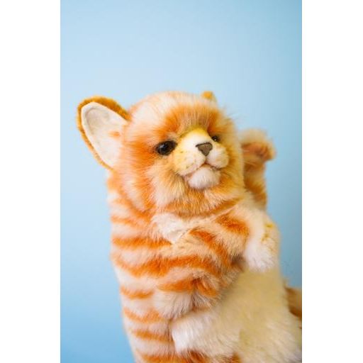 Мягкая игрушка на руку Hansa Puppet Имбирный кот, 30 см, белый с оранжевым (7182) - фото 7