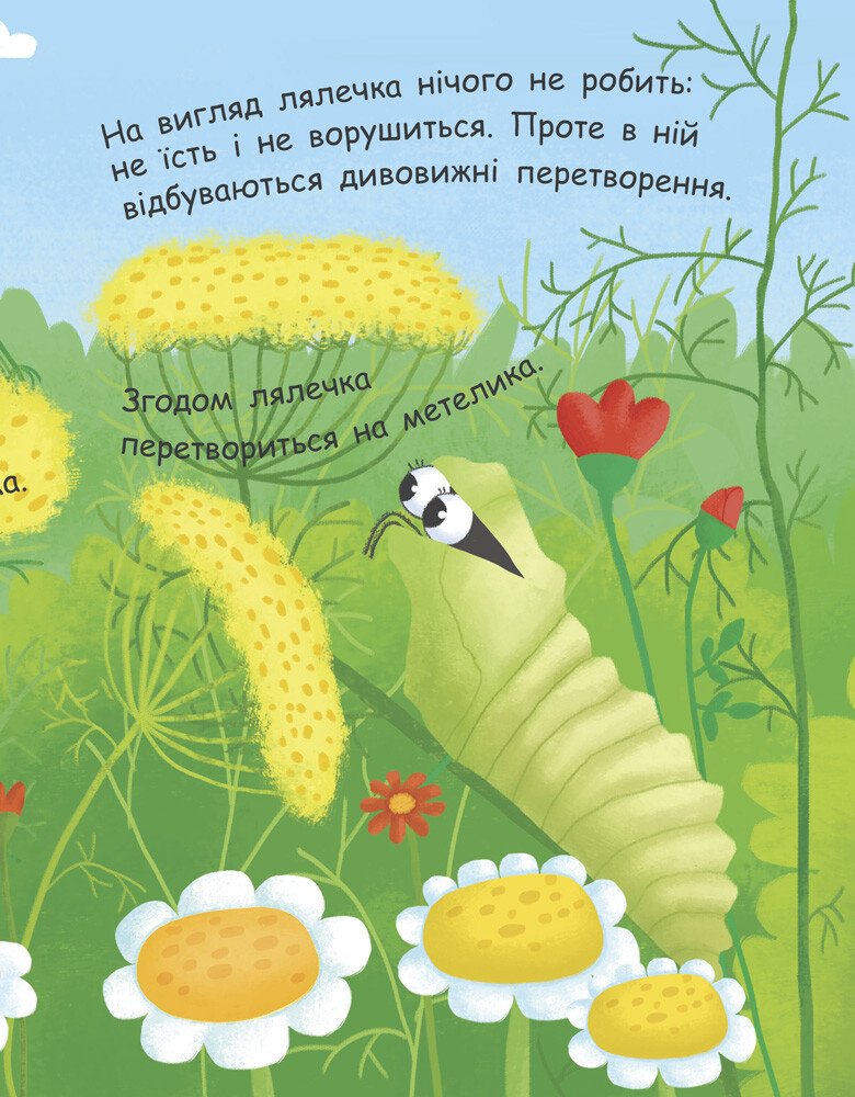 Моя перша енциклопедія Ранок Як народжується метелик? - Ганна Булгакова (Л807010У) - фото 6