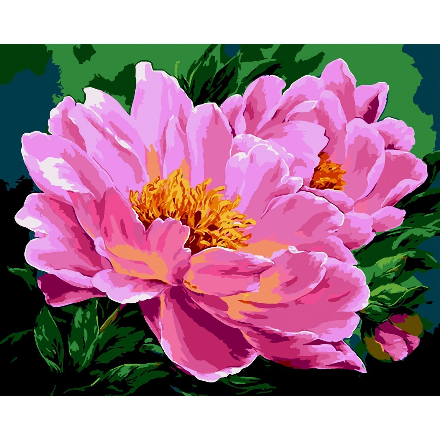 Картина за номерами ZiBi Art Line Рожеві півонії 40х50 см (ZB.64158) - фото 1