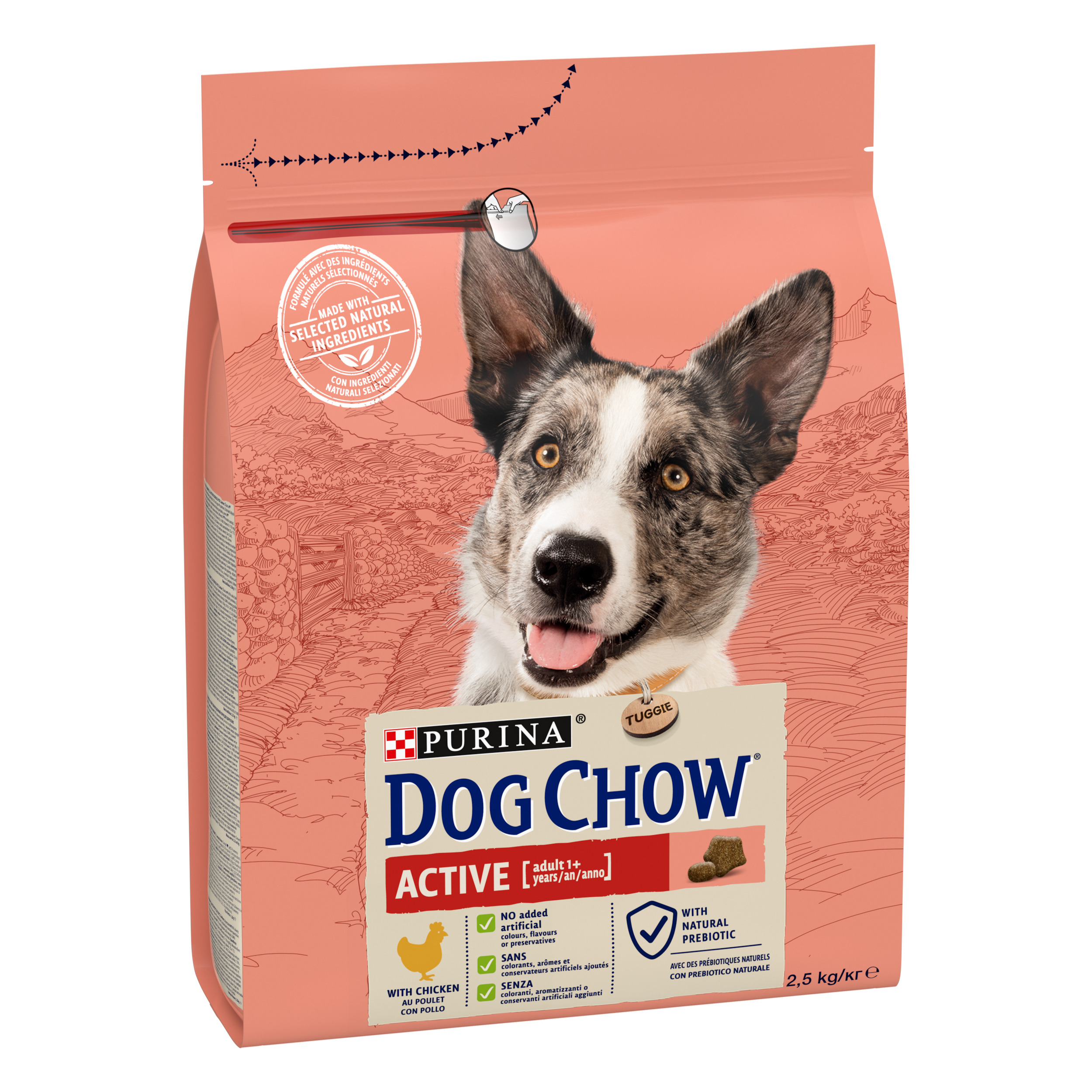 Сухой корм для собак с повышенной активностью Dog Chow Active Adult 1+, с курицей, 2,5 кг - фото 2
