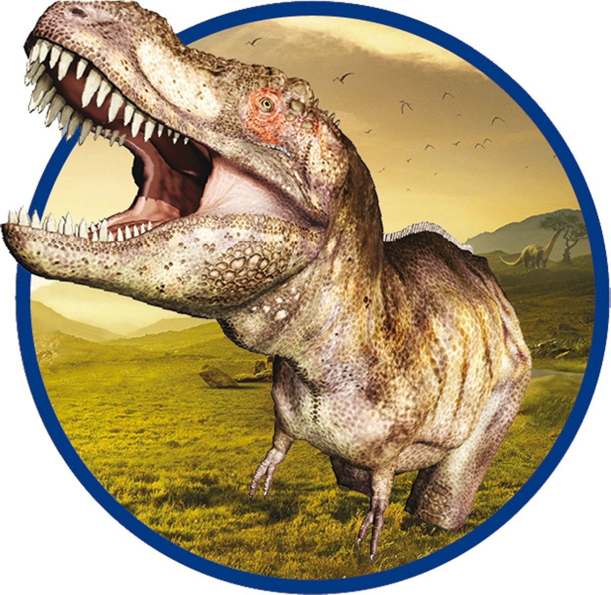 Ігровий набір Ses Creative Дослідник Розкопки скелета Тираннозавра (25028S) - фото 5