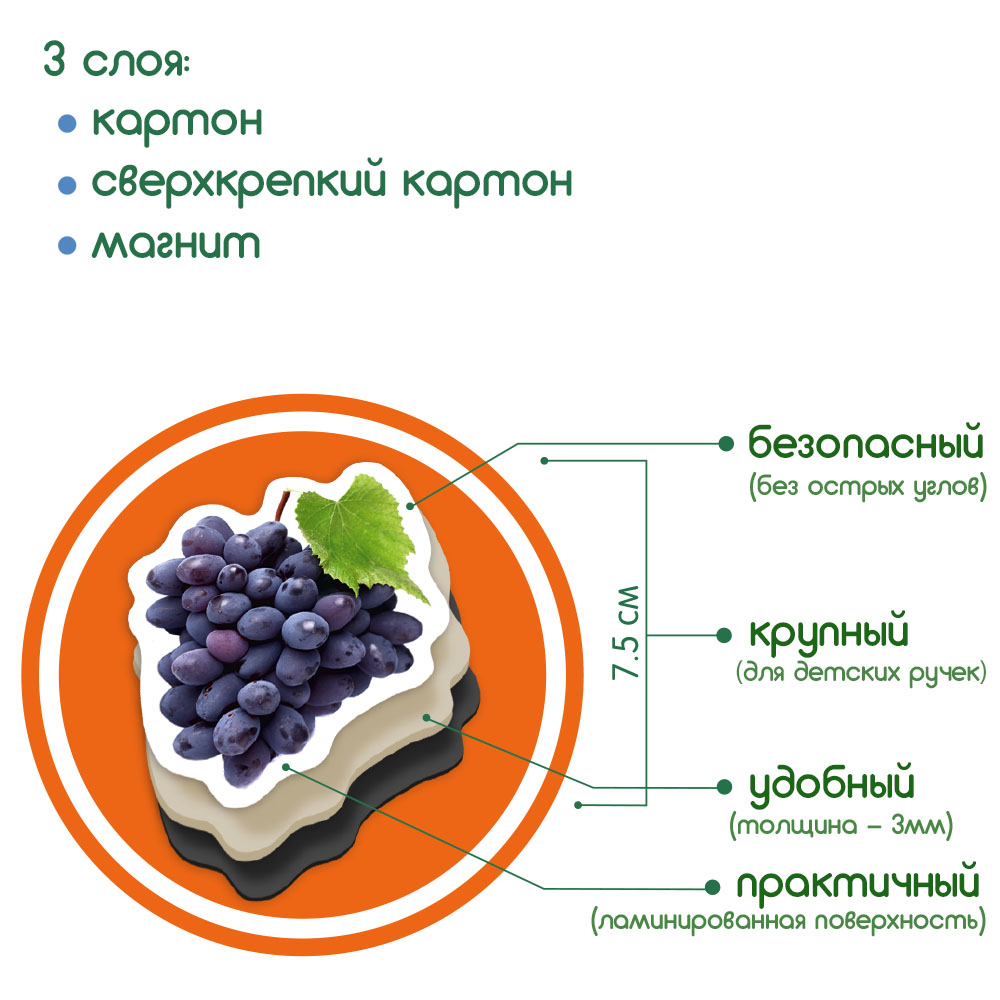 Магнитный набор Magdum Фрукты и ягоды (ML4031-11) - фото 3