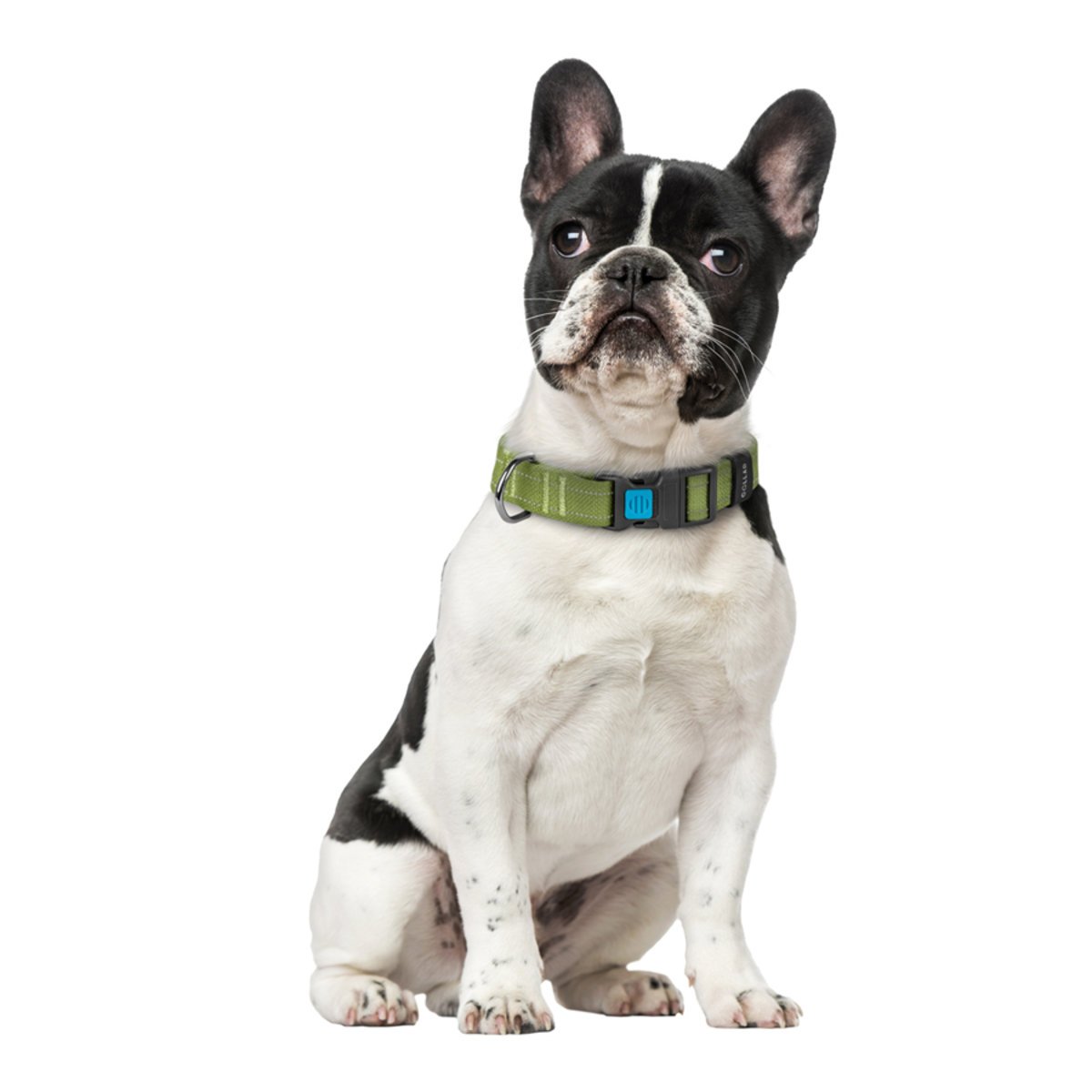 Ошейник для собак Collar Брезент пластиковый фастекс, М 25 мм (33-49) см - фото 4