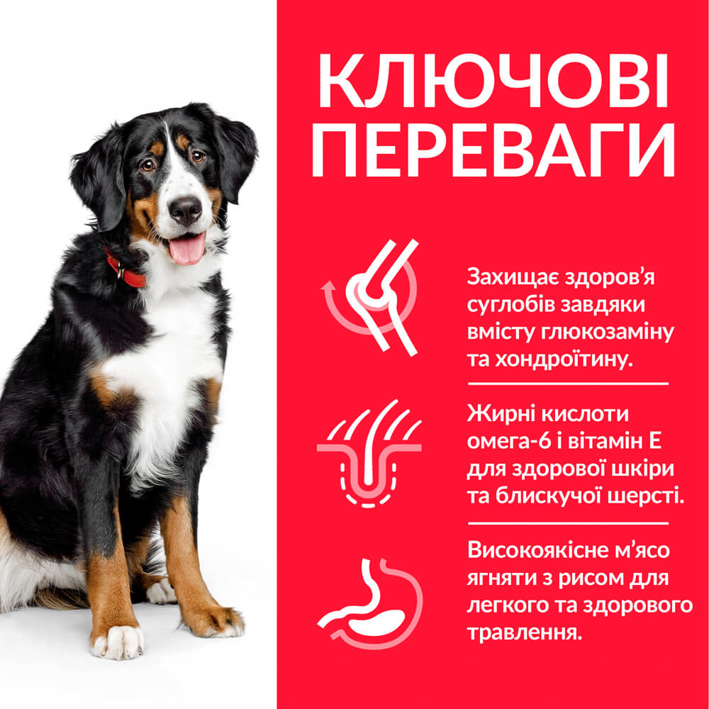 Сухой корм для взрослых собак крупных пород Hill's Science Plan Adult Large Breed, с ягненком и рисом, 14 кг (604373) - фото 4