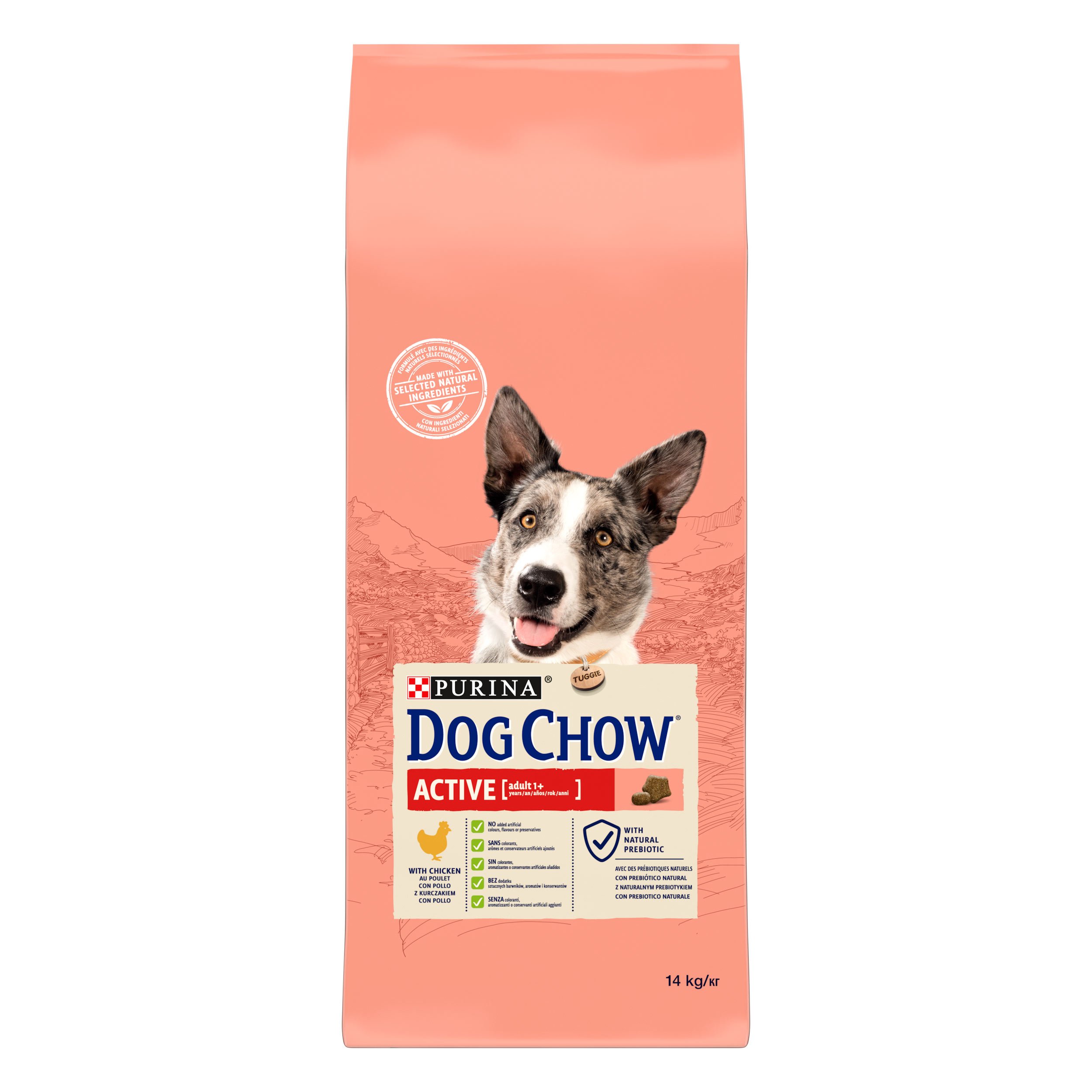 Сухой корм для собак с повышенной активностью Dog Chow Active Adult 1+, с курицей, 14 кг - фото 1