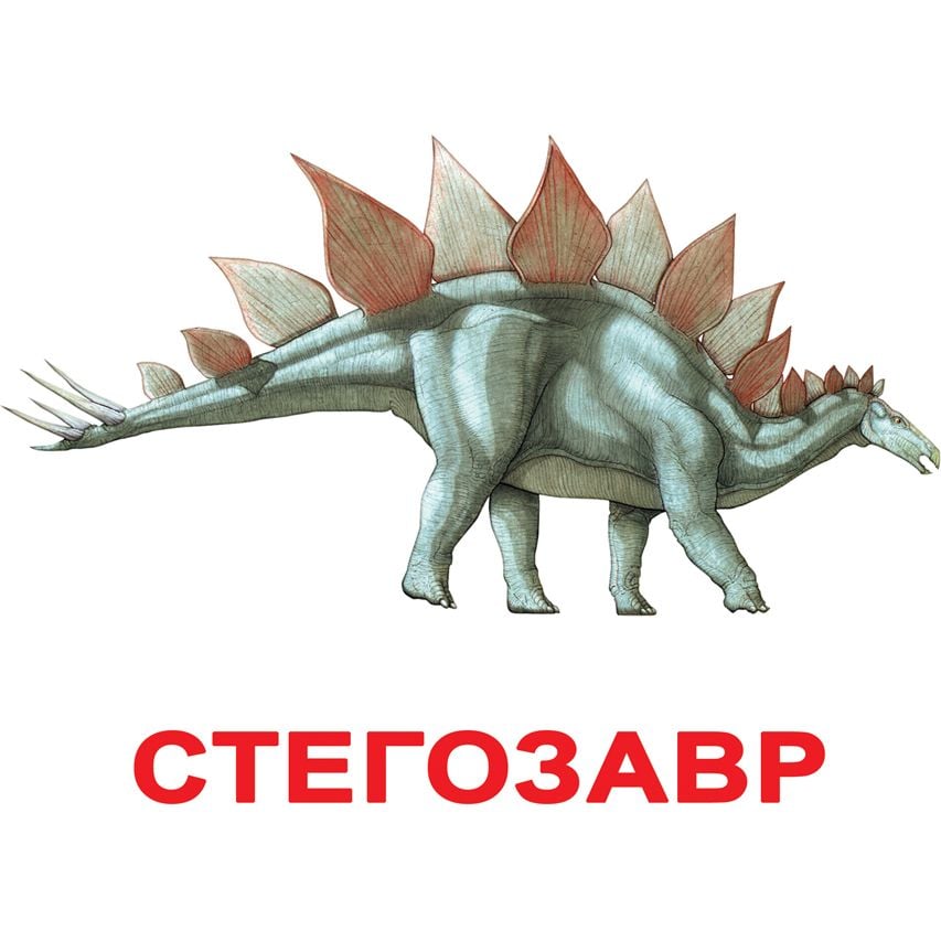 Набір карток Вундеркінд з пелюшок Динозаври, 20 карток, укр. мова - фото 3