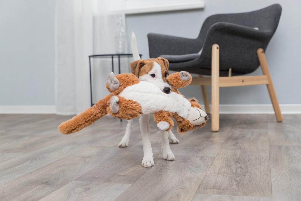 Игрушка для собак Trixie Сурикат, 40 см (35672) - фото 3