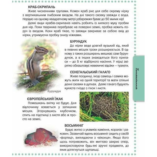 Енциклопедія для допитливих Талант Тварини - Жабська Т. С. (9786176950264) - фото 7