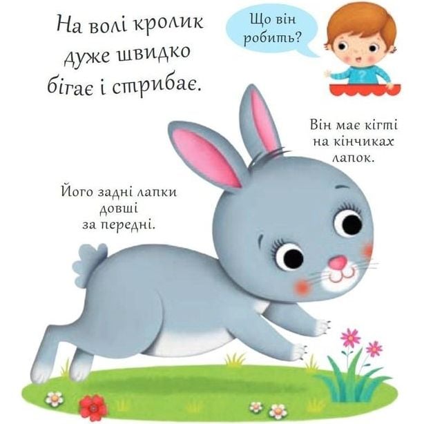 Книжка-картонка Богдан Хто це? Кролики - Бомон Емілія та Беліно Наталя (978-966-10-5139-2) - фото 2