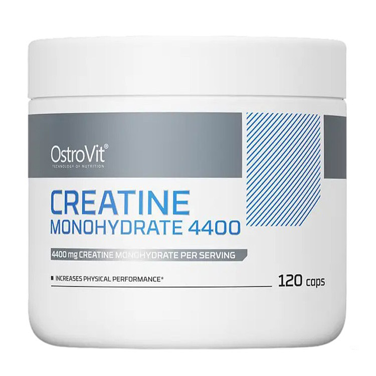 Креатин OstroVit Creatine Monohydrate 4400 мг 120 капсул - фото 1