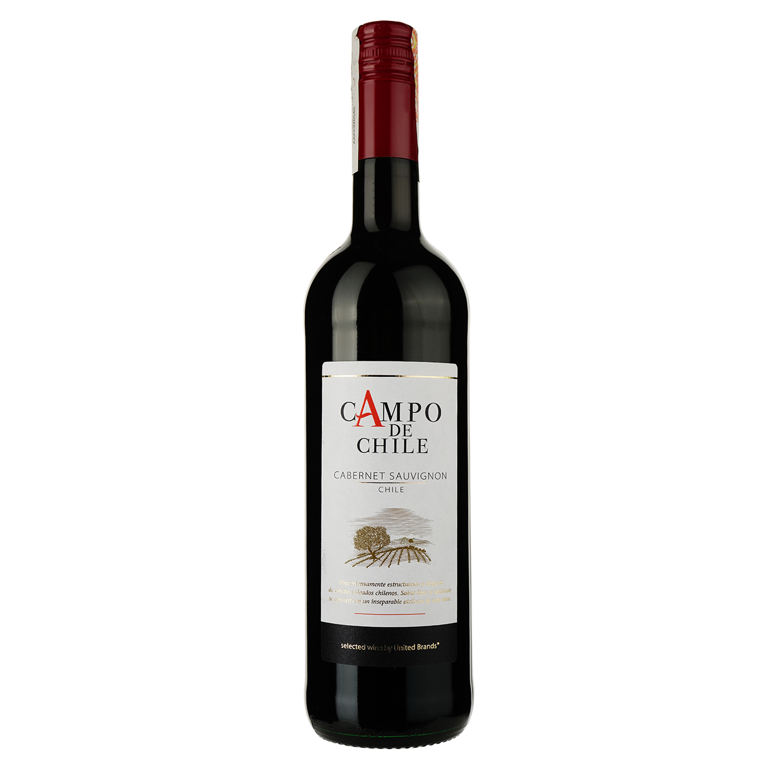 Вино Campo de Chile Cabernet Sauvignon, красное, сухое, 13%, 0,75 л - фото 1