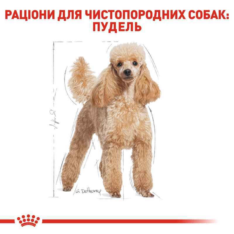Сухой корм для взрослых собак породы Пудель Royal Canin Poodle Adult, 1,5 кг (3057015) - фото 3