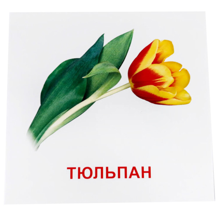 Картки міні Зірка Квіти 11х11 см - фото 5