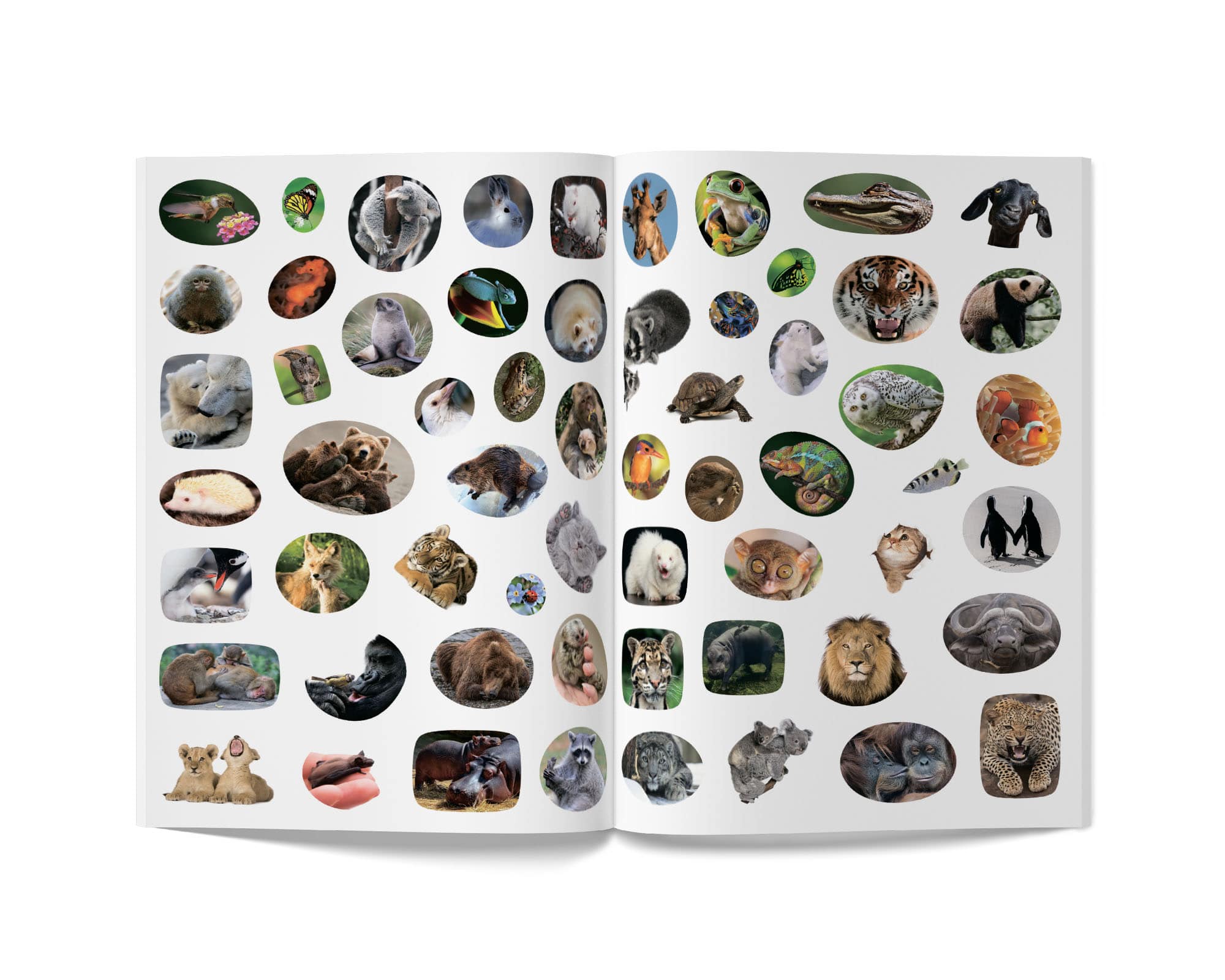 Книга Кристал Бук Школа почемучки Удивительные животные, 60 развивающих наклеек (F00026560) - фото 6