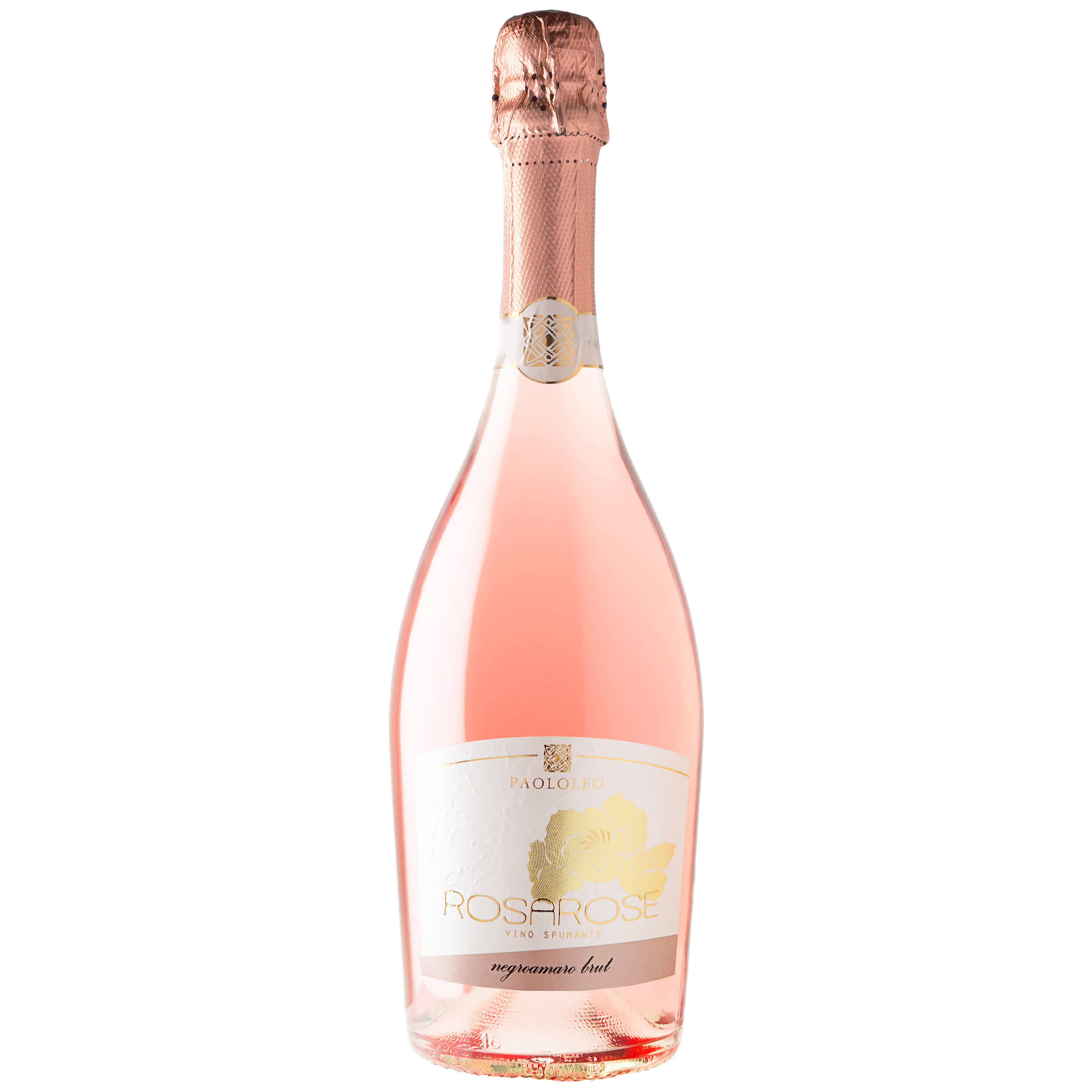 Вино ігристе Paololeo RosaRose Negroamaro Brut Spumante Rose рожеве брют 0.75 л - фото 1