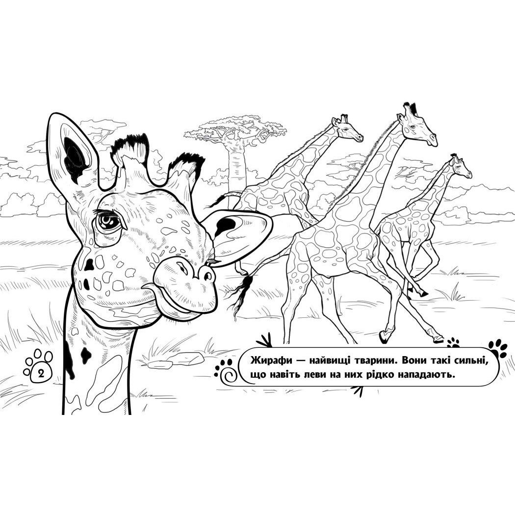 Розмальовка Видавництво Ранок Тварини в далеких краях (А583009У) - фото 2