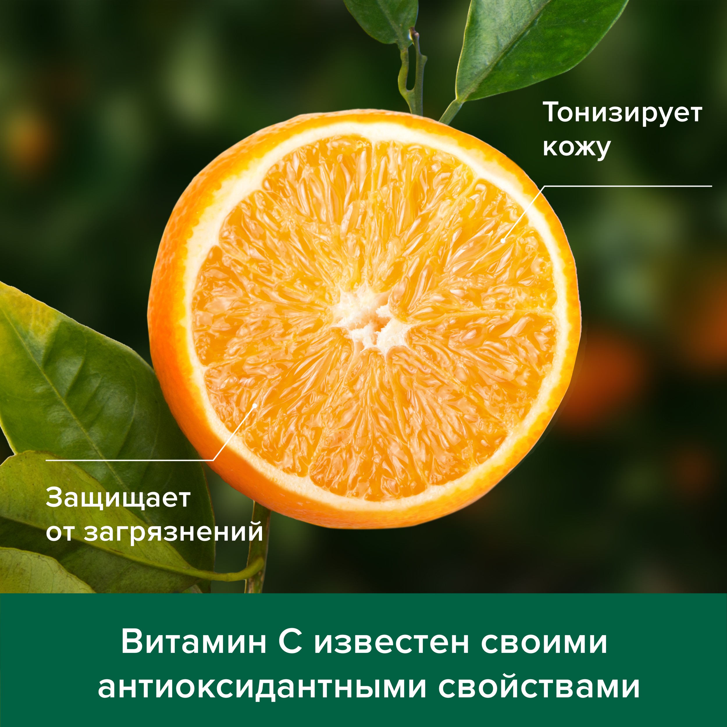 Гель-крем для душу Palmolive Натурель Вітамін С та Апельсин, 250 мл - фото 8