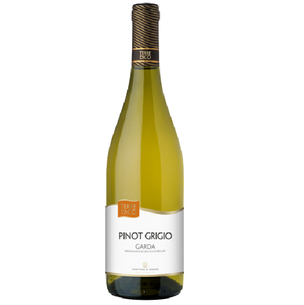 Вино Terre al Lago Garda Pinot Grigio, біле, сухе, 12%, 0,75 л - фото 1