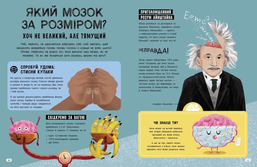 Ця книжка повна мізків Ранок Усілякі мізки та як вони працюють - Тім Кеннінґтон (N1603001У) - фото 5