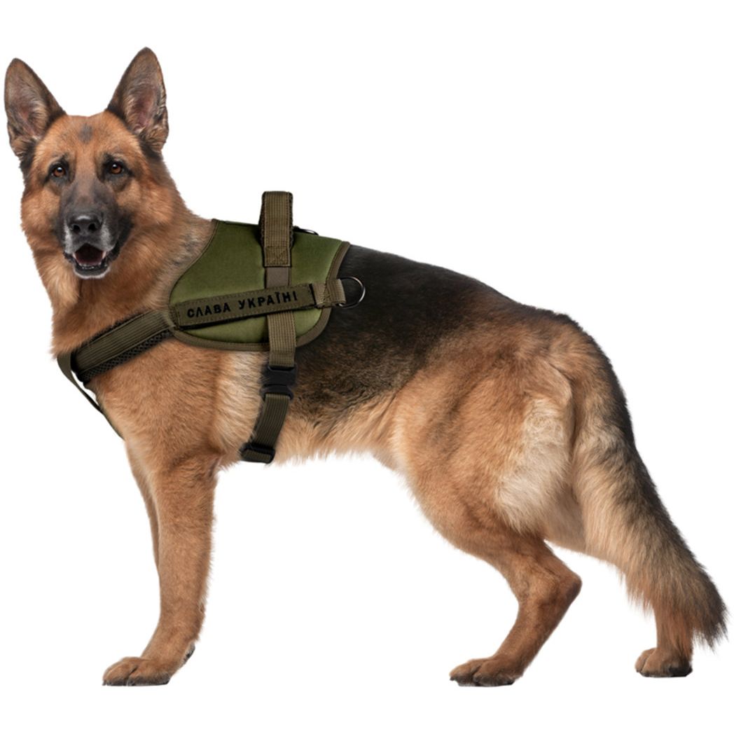 Шлея для служебных собак Waudog Pro металлический фастекс, М 55-75 см хаки - фото 6