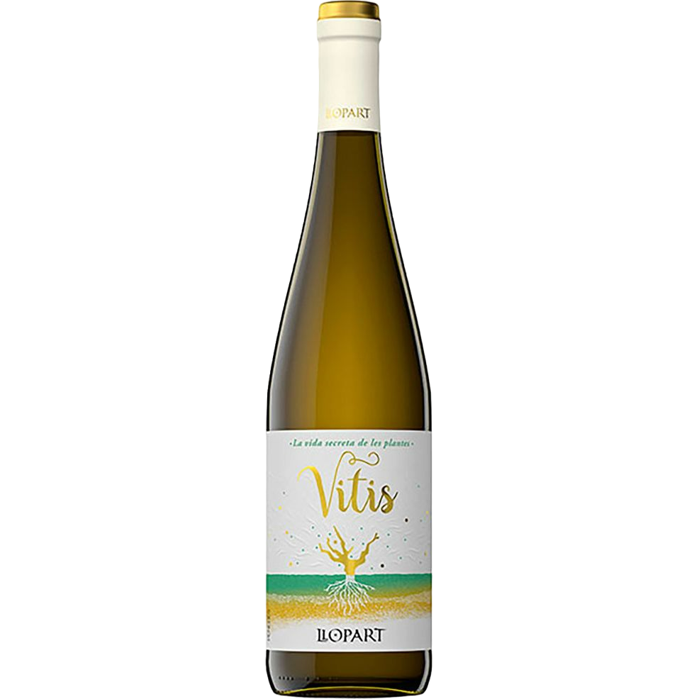 Вино Pere Llopart Vilaros Vitis, біле, сухе, 12%, 0,75 л (8000019680426) - фото 1