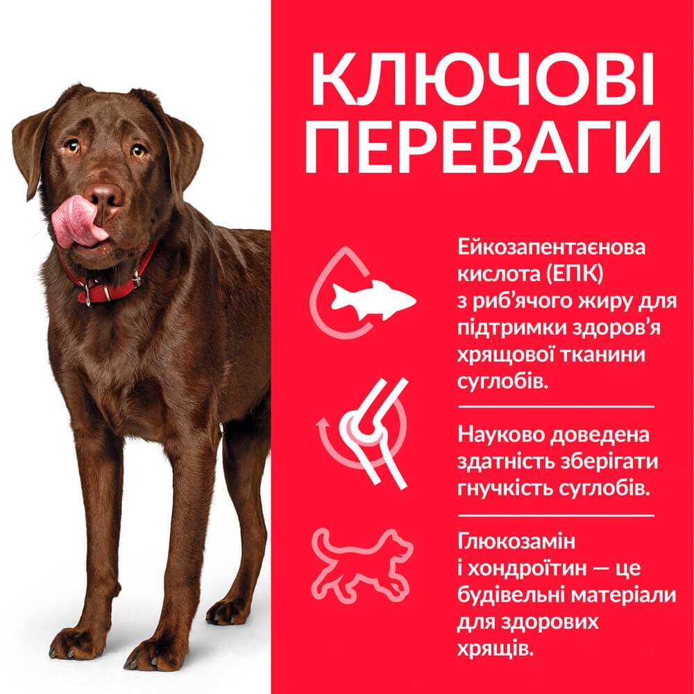 Сухий корм для дорослих собак великих порід Hill’s Plan Adult Healthy Mobility Large Breed, для підтримання здорової рухливості, з куркою, 14 кг (604370) - фото 4