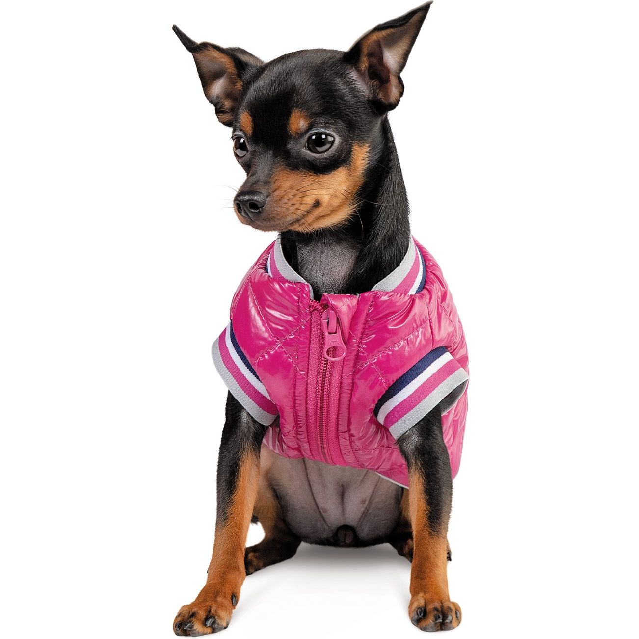 Бомбер Pet Fashion Grace L рожевий - фото 3