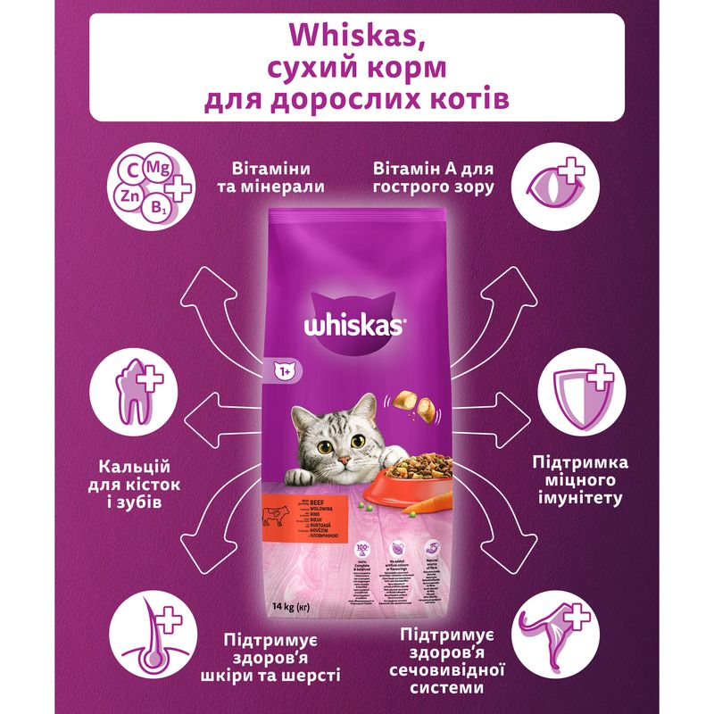 Сухой корм для котов Whiskas, с говядиной, 14 кг - фото 4