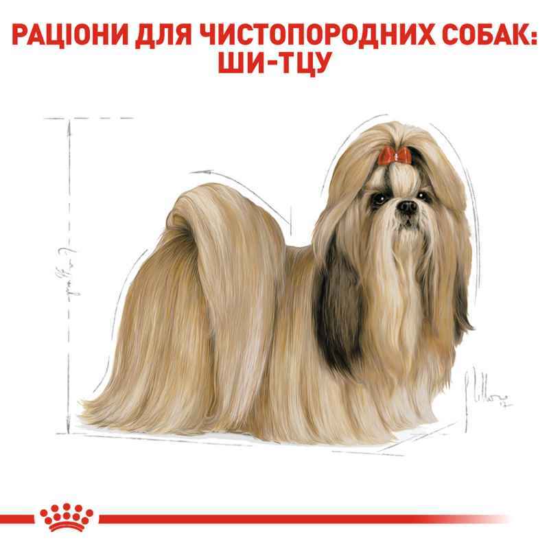 Сухой корм для взрослых собак породы Ши-Тцу Royal Canin Shih Tzu Adult, с мясом птицы, 0,5 кг (2200005) - фото 3