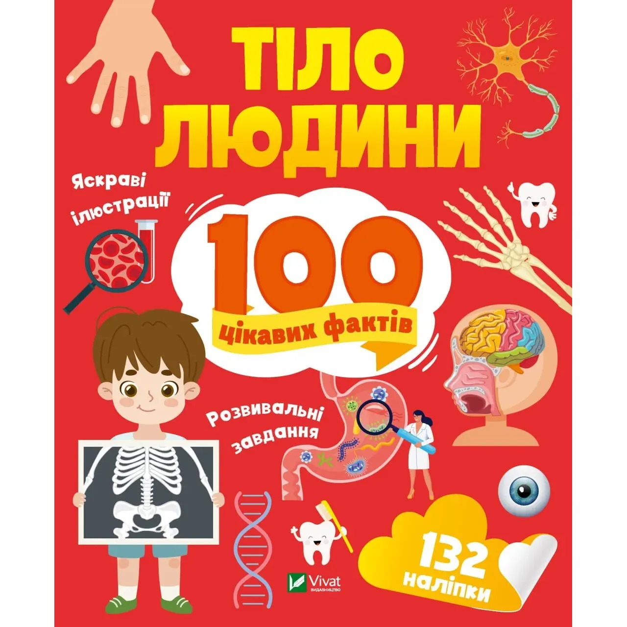 Тіло людини. 100 цікавих фактів - Політай Лілія - фото 1