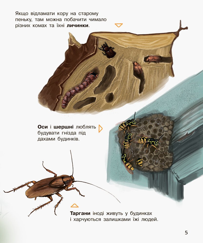 Енциклопедія дошкільника Ранок Комахи - Юлія Каспарова (С614014У) - фото 5