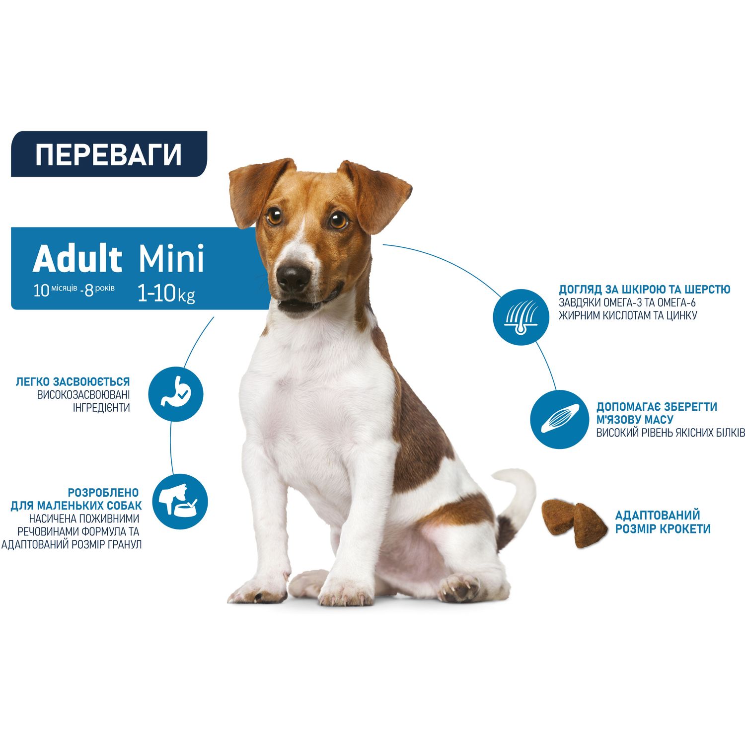 Сухой корм для собак маленьких пород Advance Dog Mini Adult с курицей и рисом 1.5 кг - фото 3