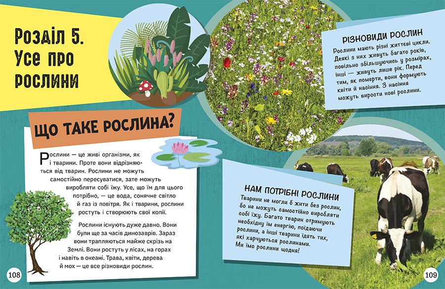 Енциклопедія юних розумників Ранок Допитливим сюди. ДОВКОЛАПИТАНЬ - Ненсі Дікман (НЕ1745007У) - фото 10