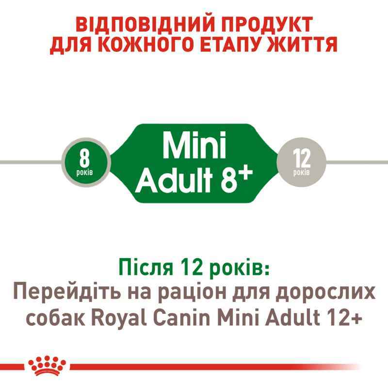 Сухой корм для собак возрастом от 8 до 12 лет Royal Canin Mini Adult 8+, 2 кг (30020209) - фото 6