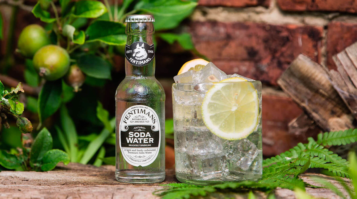 Напиток Fentimans Soda Water безалкогольный 0.2 л - фото 2