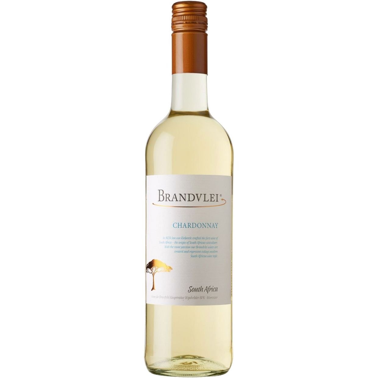 Вино Brandvlei Chardonnay Western Cape, біле, сухе, 0,75 л - фото 1