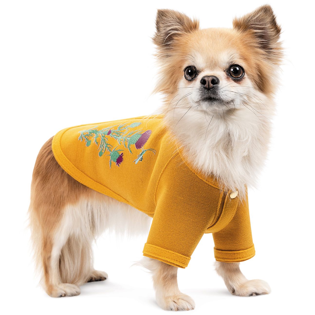 Кардиган для собак Pet Fashion Denis S жовтий - фото 2