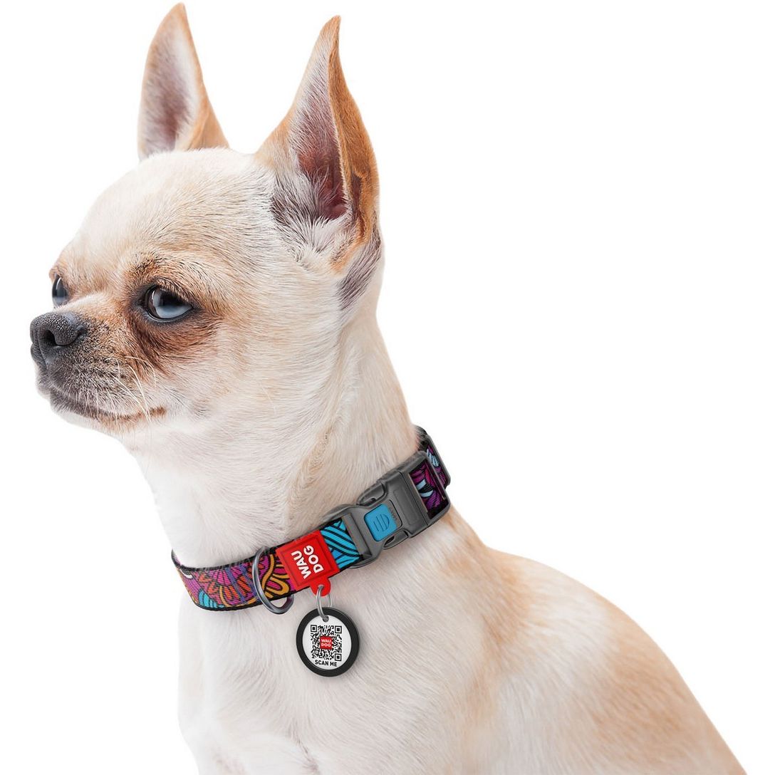 Нашийник для собак Waudog Nylon Літо, з QR паспортом, пластиковий фастекс, 20-30х1 см - фото 5