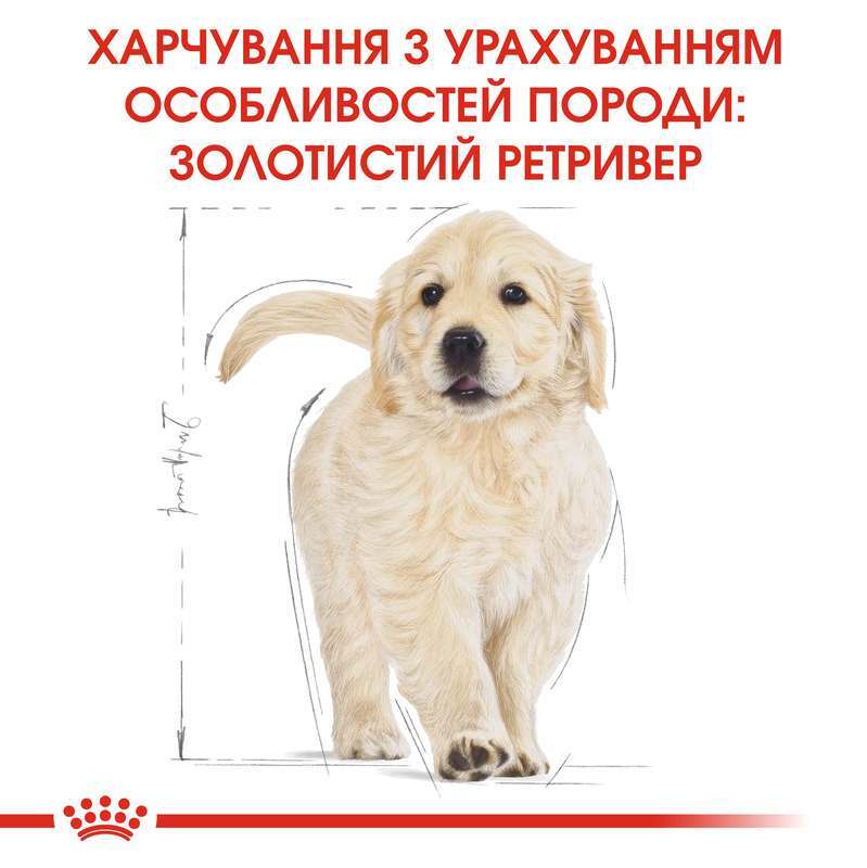 Сухий корм для цуценят породи Золотистий Ретрівер Royal Canin Golden Retriever Puppy, 12 кг (39791201) - фото 2