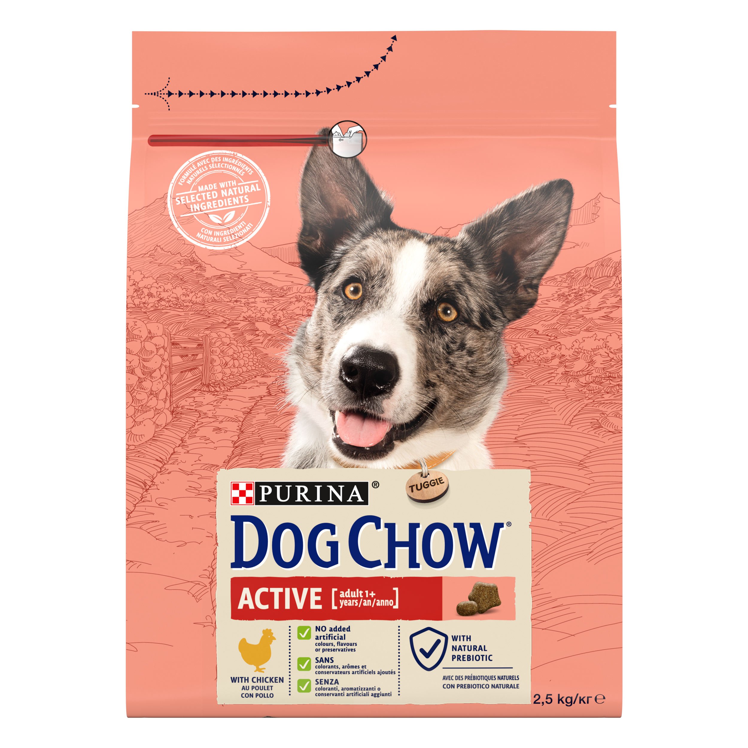 Сухий корм для собак з підвищеною активністю Dog Chow Active Adult 1+, з куркою, 2,5 кг - фото 1