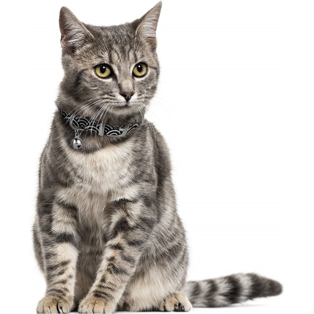 Ошейник для кошек BronzeDog Barksi Classic Море кожаный одинарный с серебряным тиснением 2XS 18-25х1 см черный - фото 4