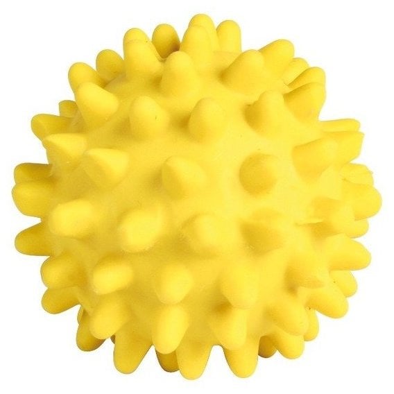 Іграшка для собак Trixie М'яч голчастий з пищалкою, d 6 см, в асортименті (35431) - фото 1