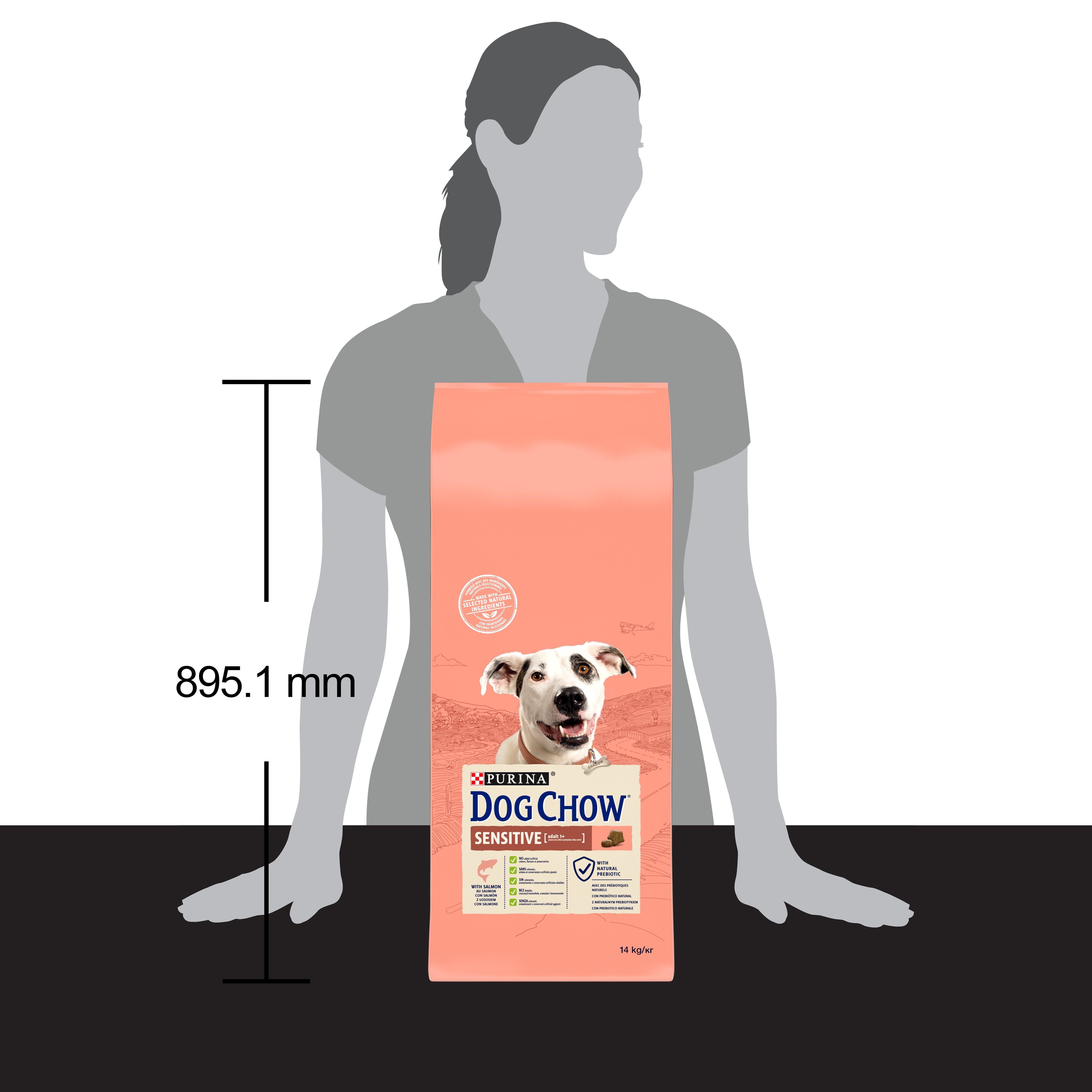 Сухой корм для собак с чувствительным пищеварением Dog Chow Sensitive Adult 1+, с лососем, 14 кг - фото 4